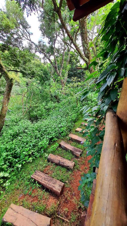 Bed and Breakfast Sitio Belucci Pinhalzinho  Exterior foto