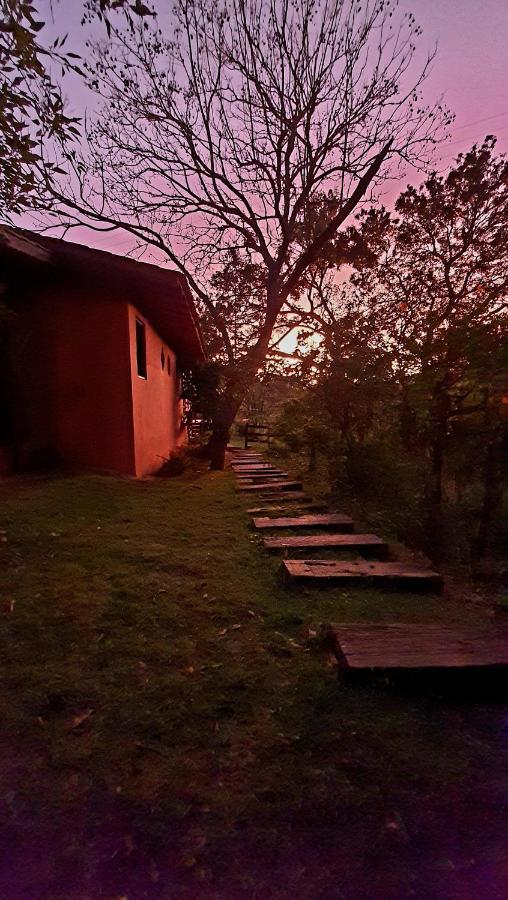 Bed and Breakfast Sitio Belucci Pinhalzinho  Exterior foto
